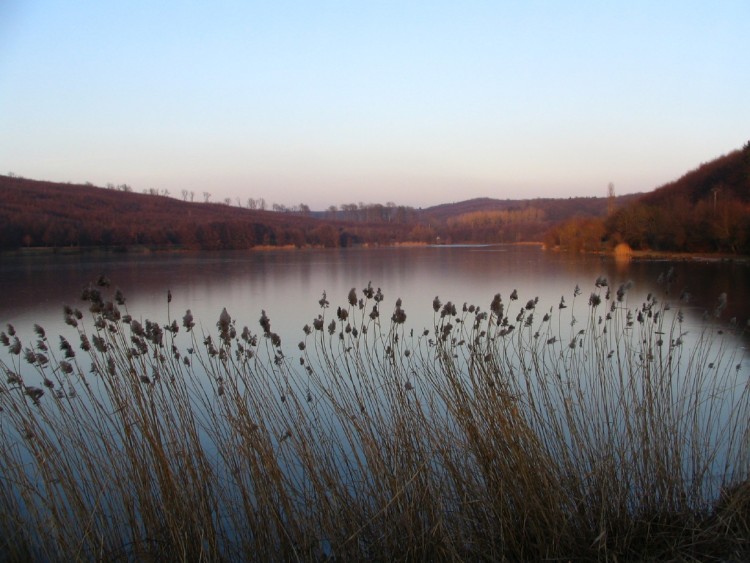 Fonds d'cran Nature Lacs - Etangs ALSACE