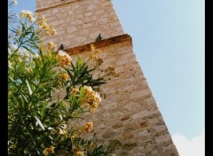 Fonds d'cran Constructions et architecture St Paul de Vence,  alpes-maritimes.