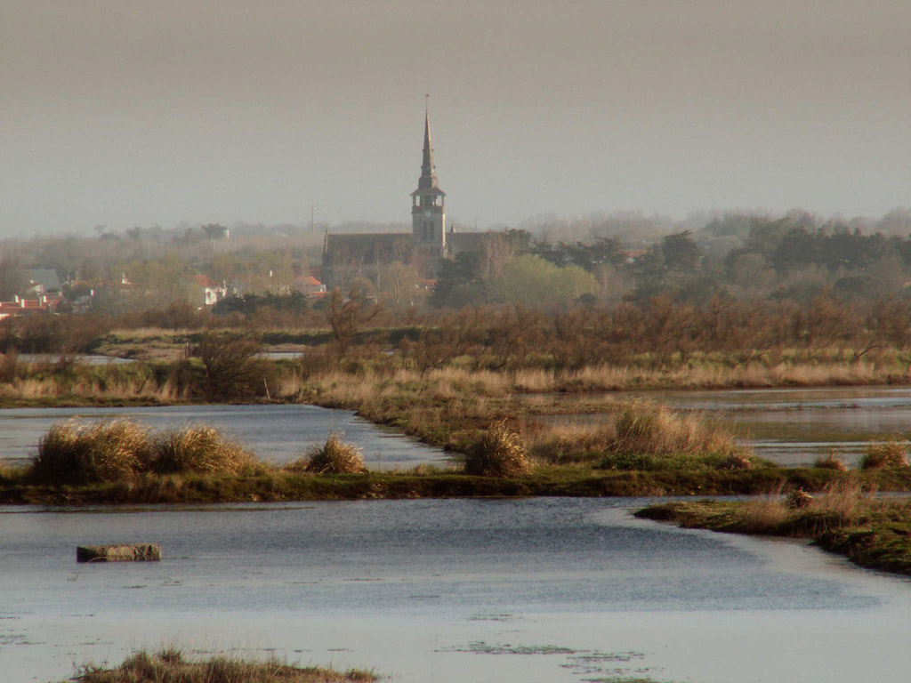 Fonds d'cran Nature Paysages l'ile d'olonne et ses marais