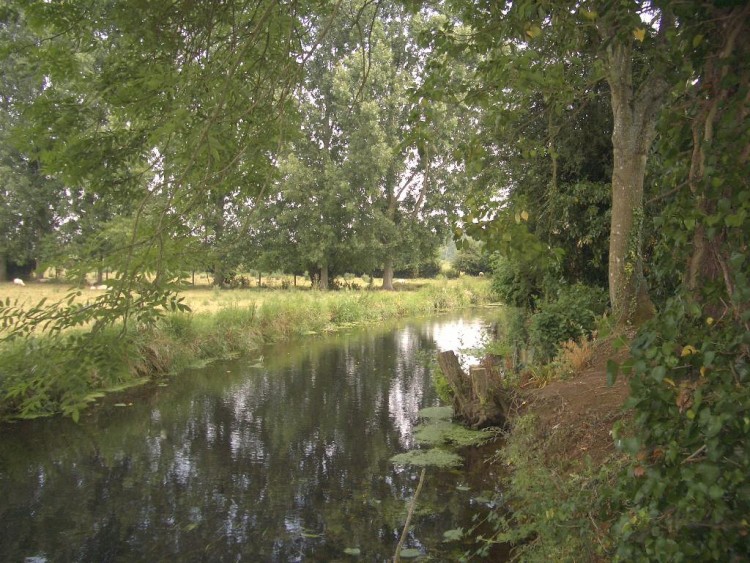 Fonds d'cran Nature Fleuves - Rivires - Torrents Au bord de la rivire