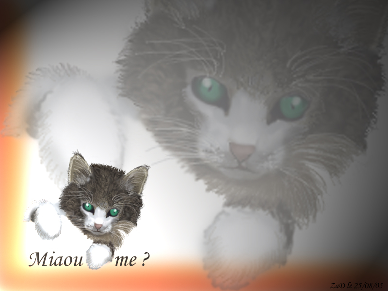 Wallpapers Digital Art Animals Miaou me...