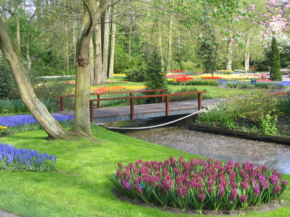 Fonds d'cran Nature Parcs - Jardins 