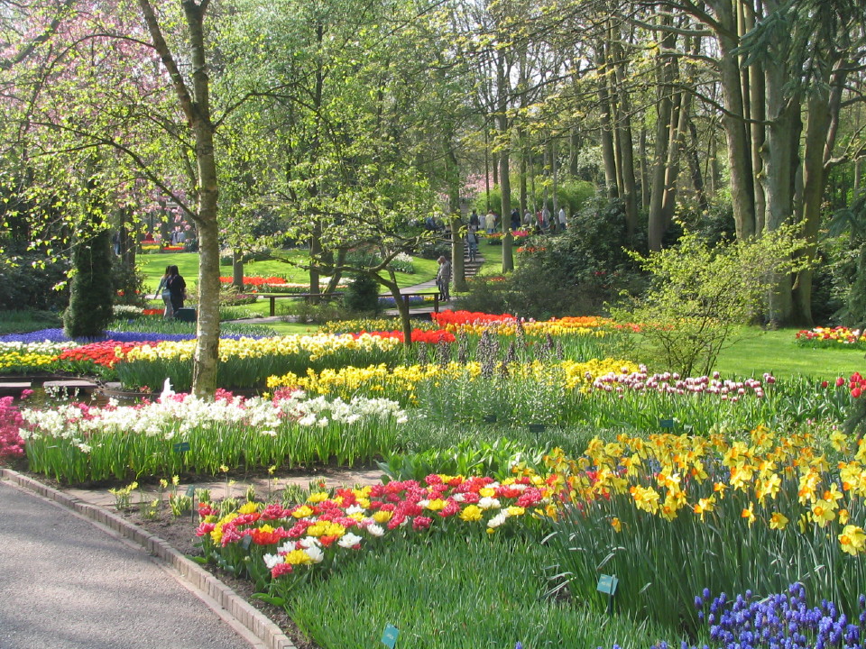 Fonds d'cran Nature Parcs - Jardins 