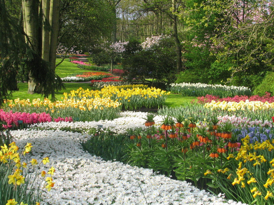 Fonds d'cran Nature Parcs - Jardins 