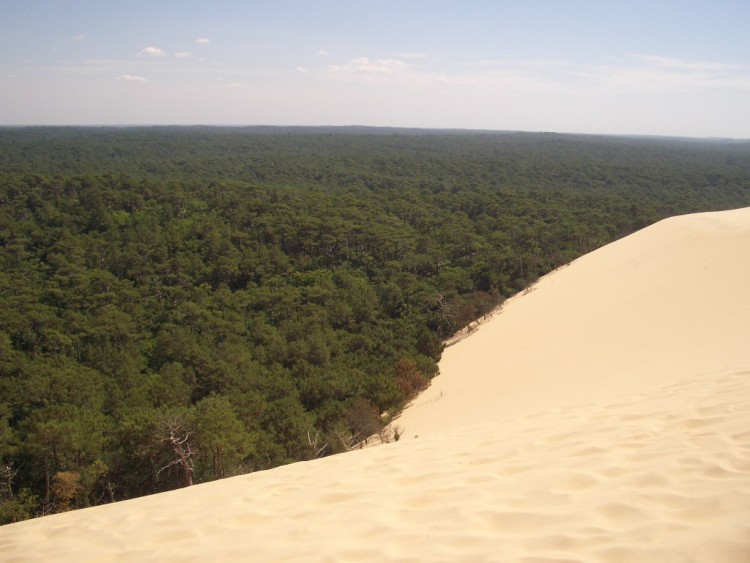 Fonds d'cran Voyages : Europe France > Aquitaine Dune du Pila- gironde