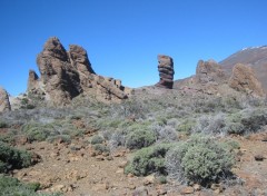 Fonds d'cran Nature Parc national du Tede 5 (Tenerife)