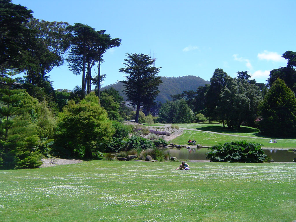 Wallpapers Nature Parks - Gardens Golden Gate Park