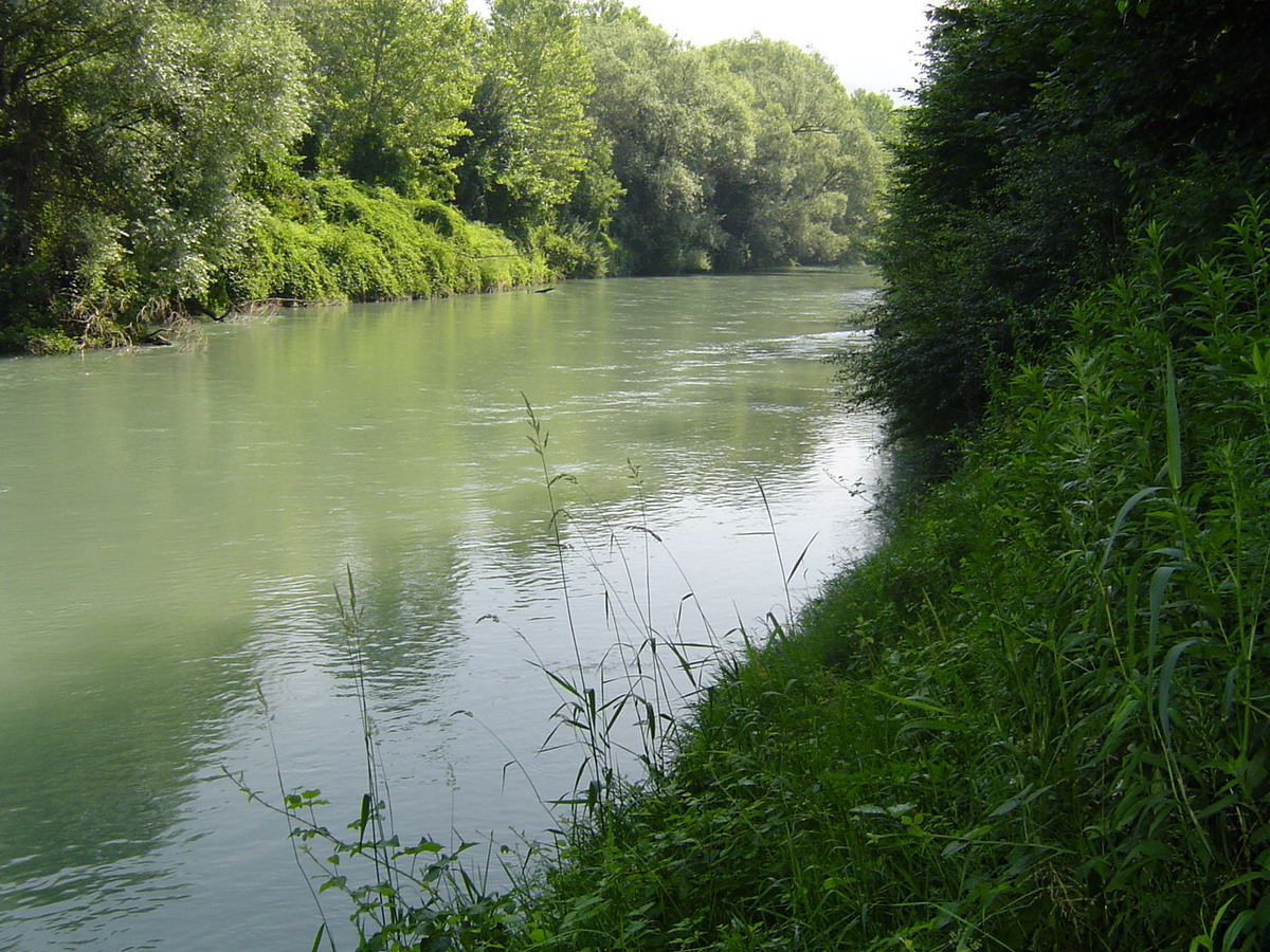 Fonds d'cran Nature Fleuves - Rivires - Torrents le Rhne  Vertrieu