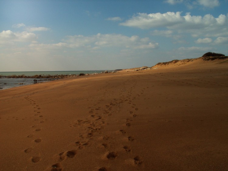 Fonds d'cran Nature Mers - Ocans - Plages trace sur la plage