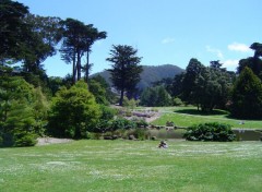 Wallpapers Nature Golden Gate Park