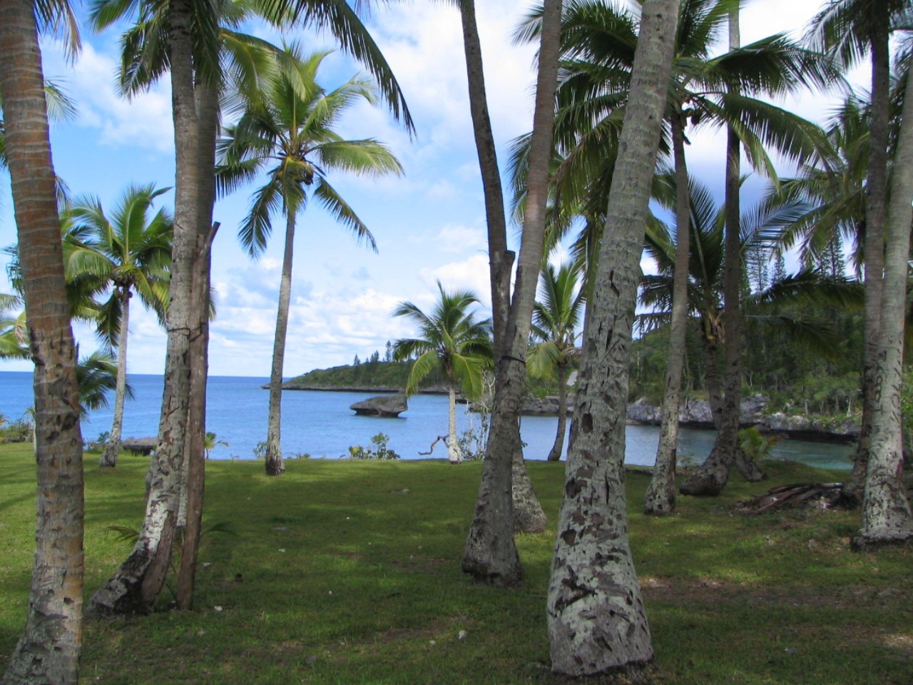 Wallpapers Trips : Oceania New Caledonia Camping caldonien