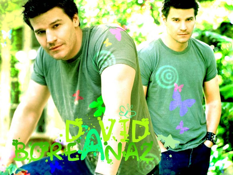 Fonds d'cran Clbrits Homme David Boranaz David Boreanaz