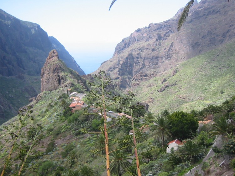 Fonds d'cran Voyages : Afrique Les Canaries Rocher de Masca (Tenerife)