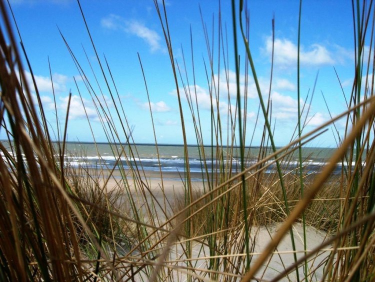 Fonds d'cran Nature Mers - Ocans - Plages prise de vue dune sur plage