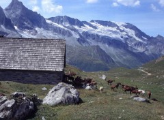 Wallpapers Nature La Vanoise