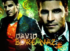 Fonds d'cran Clbrits Homme David Boreanaz