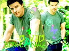 Fonds d'cran Clbrits Homme David Boreanaz