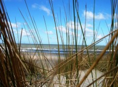 Fonds d'cran Nature prise de vue dune sur plage