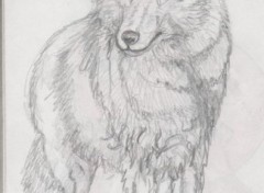 Wallpapers Art - Pencil loup