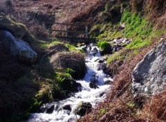 Fonds d'cran Nature petit pont