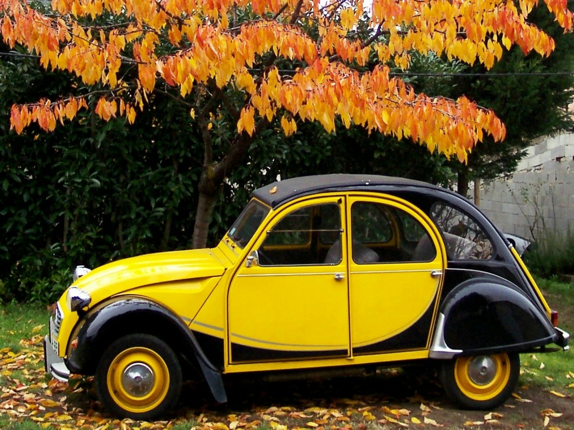 Wallpapers Cars Citron Ma deudeuche  l\'automne ...