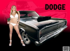 Fonds d'cran Erotic Art Dodge pin-up