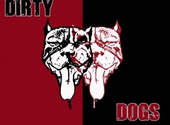 Wallpapers Animals Dirty dogs