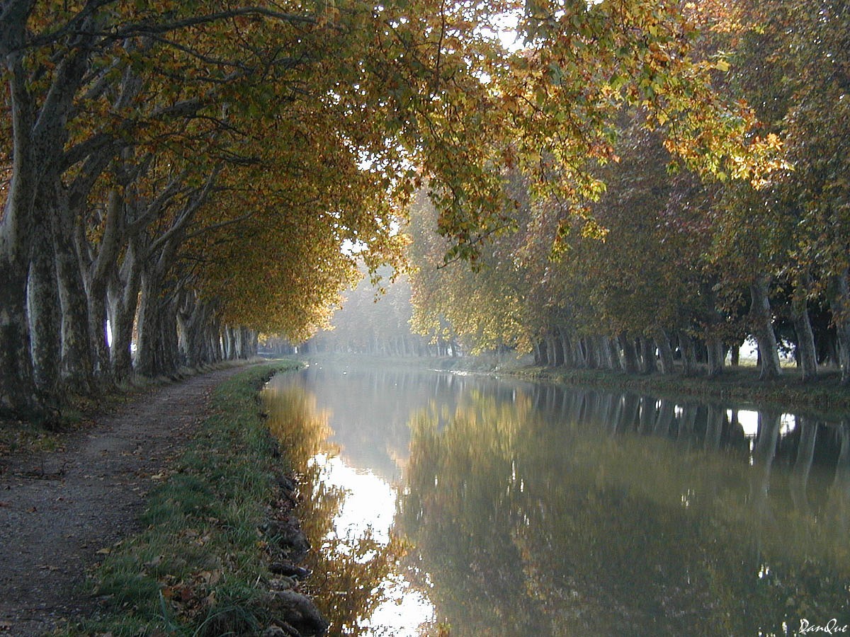 Wallpapers Trips : Europ France > Languedoc-Roussillon Canal du Midi