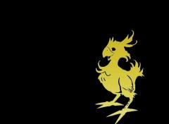 Fonds d'cran Jeux Vido chocobo