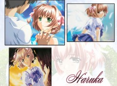 Fonds d'cran Dessins Anims haruka