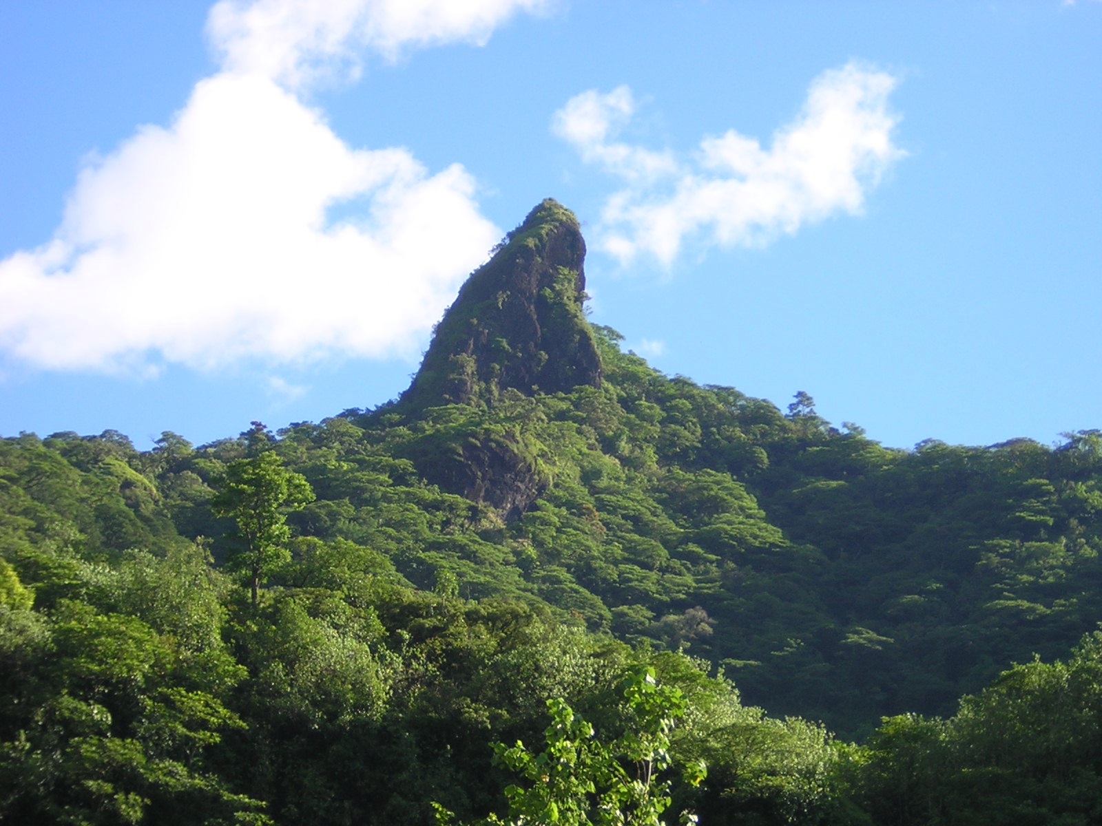 Fonds d'cran Voyages : Ocanie Tahiti verte valle