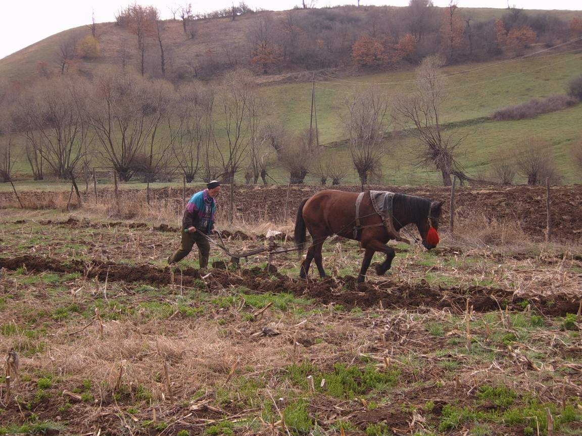 Fonds d'cran Nature Champs - Prairies Le laboureur