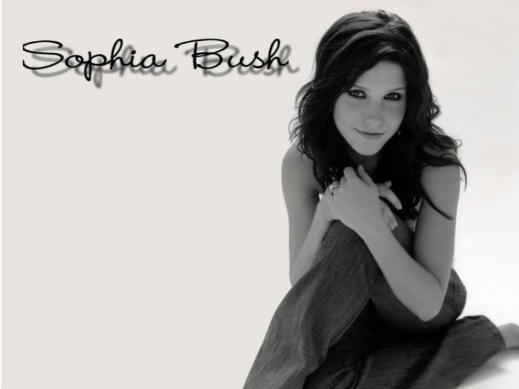 Fonds d'cran Clbrits Femme Sophia Bush Sophia Bush