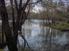 Fonds d'cran Nature IFRANE