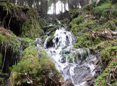 Fonds d'cran Nature une toute petite cascade