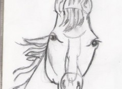 Wallpapers Art - Pencil un cheval