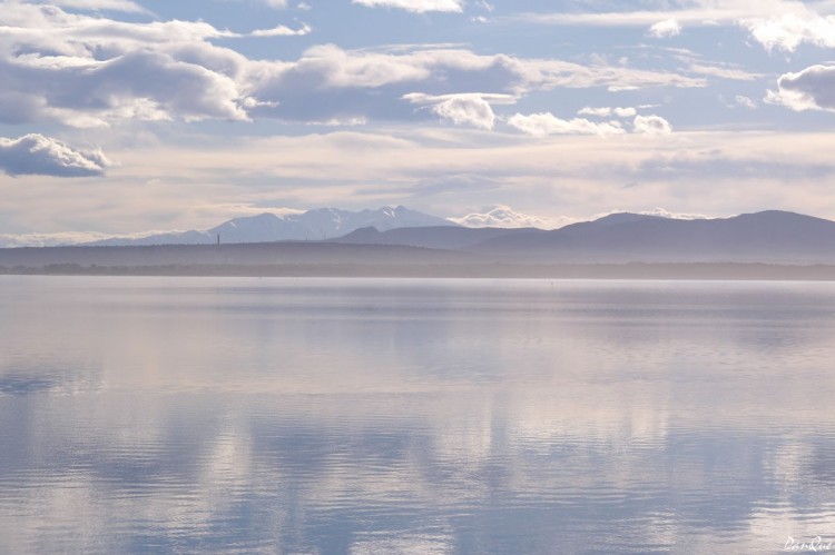 Fonds d'cran Nature Lacs - Etangs Le Narbonnais