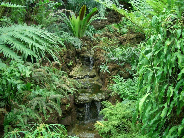 Fonds d'cran Nature Cascades - Chutes Cascade