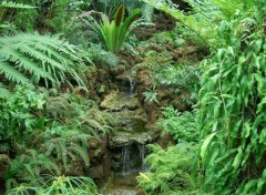 Fonds d'cran Nature Cascade