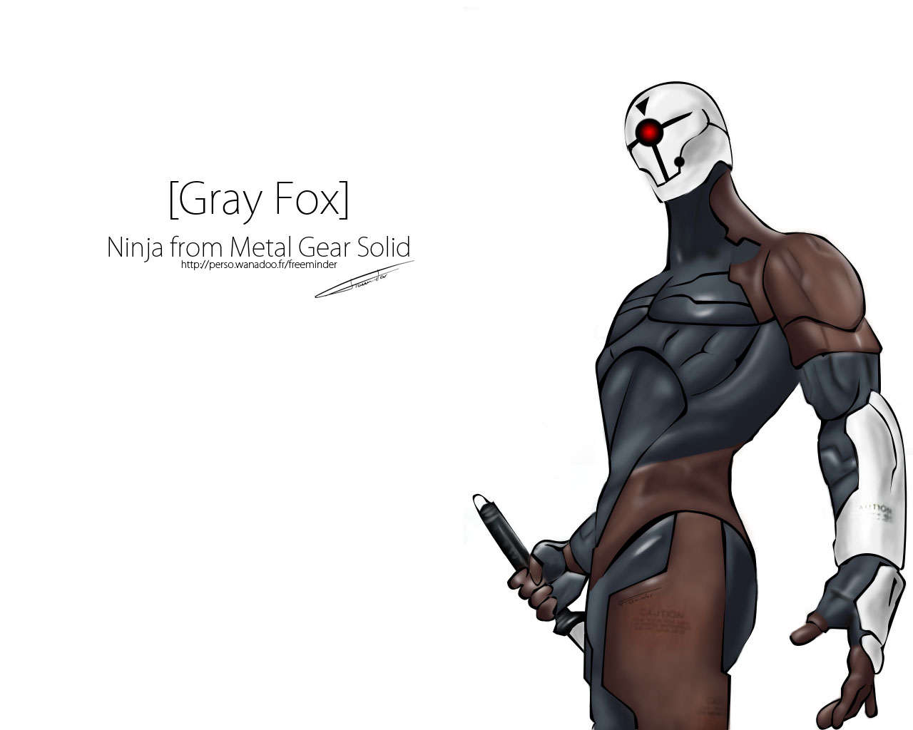 Wallpapers Video Games Metal Gear Solid 2 - Sons Of Liberty Gray Fox