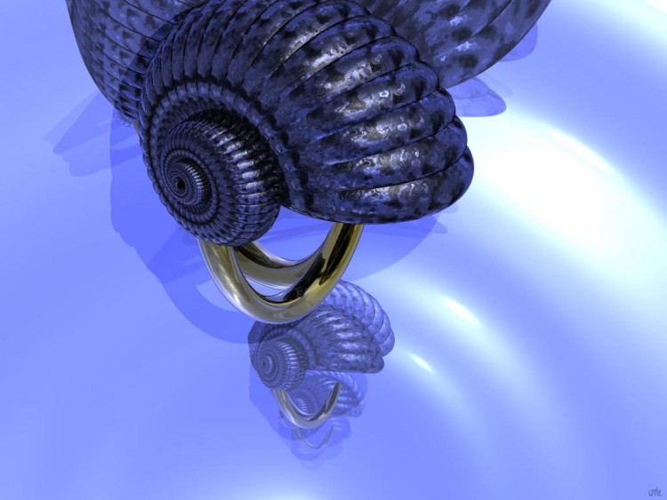 Wallpapers Digital Art 3D - Bryce coquillage bleu