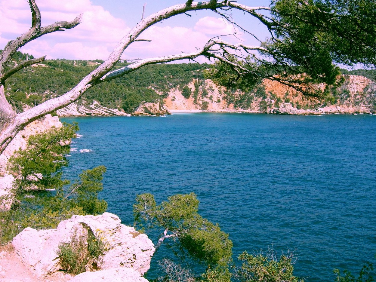 Fonds d'cran Nature Mers - Ocans - Plages un petit paradis