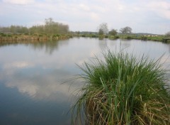 Fonds d'cran Nature Etang de Clastres (02)