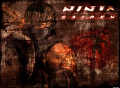 Wallpapers Video Games Ninja Gaiden - 02