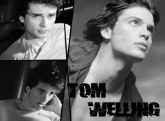 Fonds d'cran Clbrits Homme Tom Welling