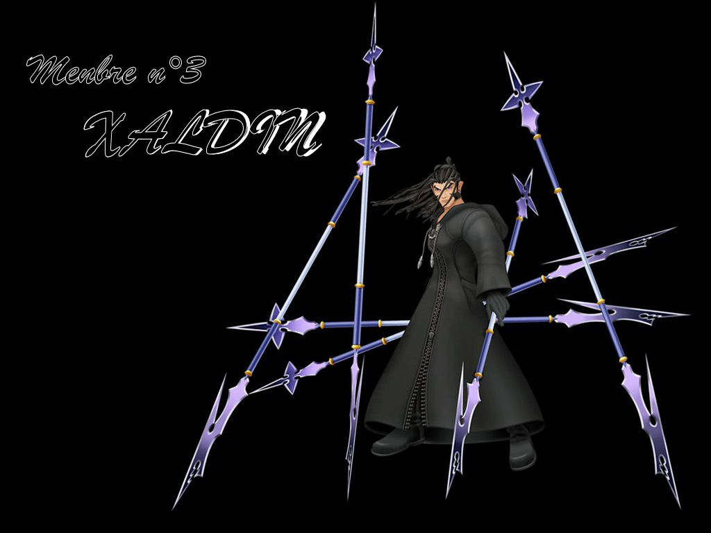 Fonds d'cran Jeux Vido Kingdom Hearts II Xaldin