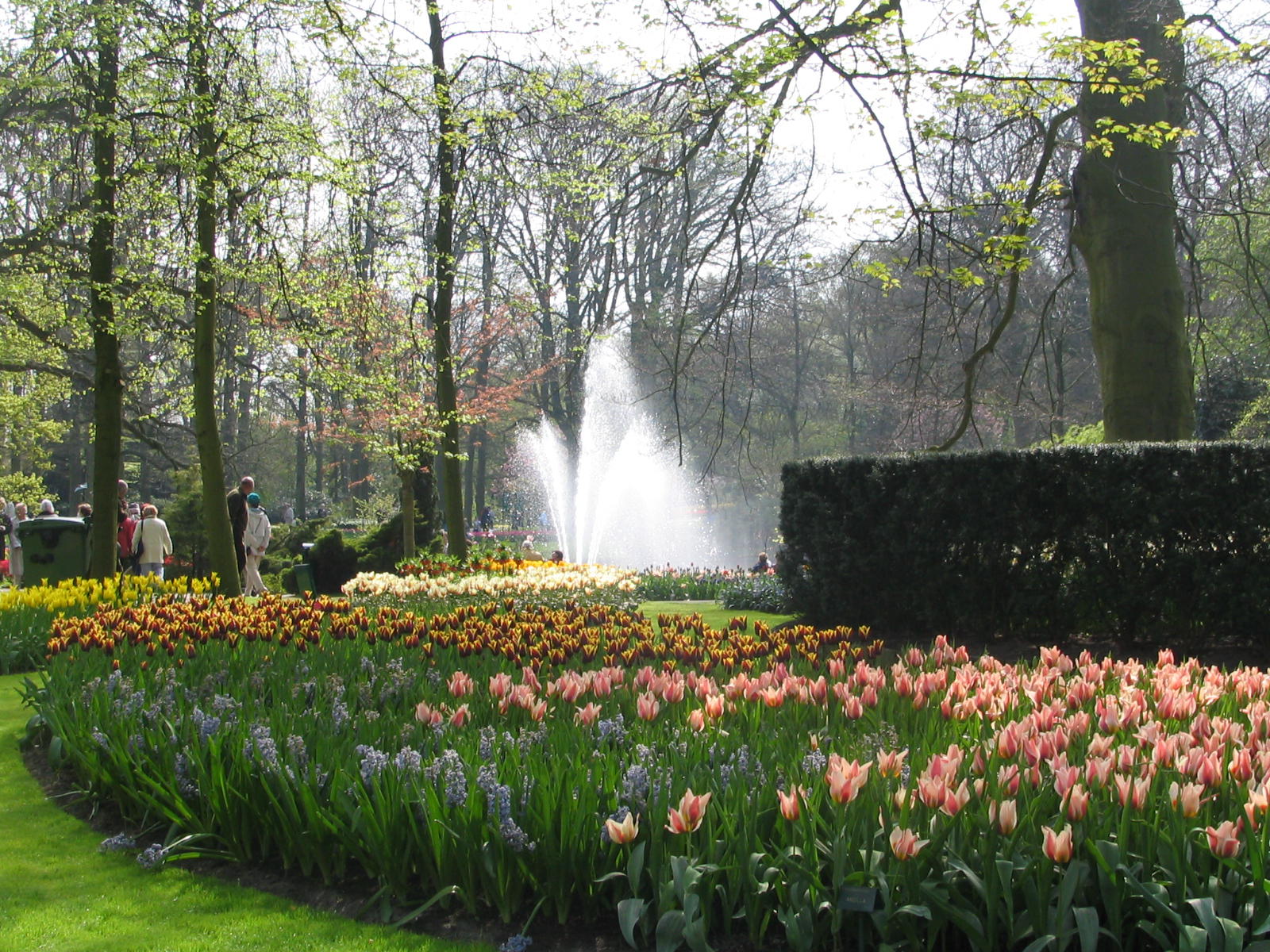 Fonds d'cran Nature Parcs - Jardins HOLLANDE