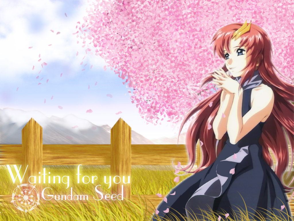 Wallpapers Cartoons Gundam Seed Lacus Clyne