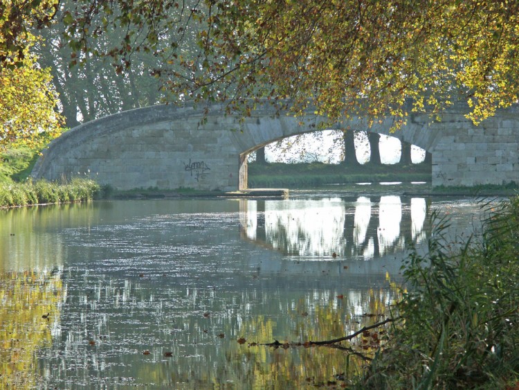 Wallpapers Nature Saisons - Winter l'automne sur le canal du midi