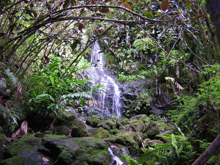 Fonds d'cran Nature Cascades - Chutes coin de fraicheur